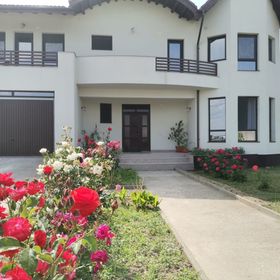 Vila Aladin Târgu Jiu