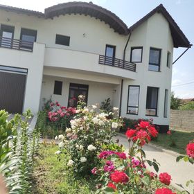 Vila Aladin Târgu Jiu