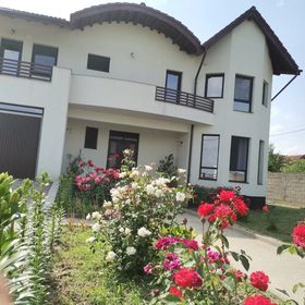 Vila Aladin Târgu Jiu