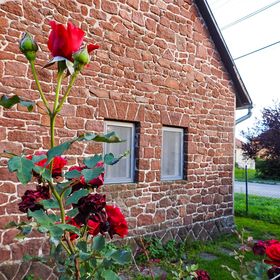  Lake Vendégház Alsóörs