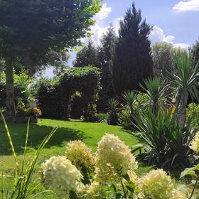 Apartments Royal Garden Šumná