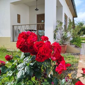 Egyszervolt Házikó Tiszafüred