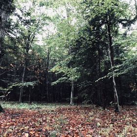 Roth Turistaház Sopron