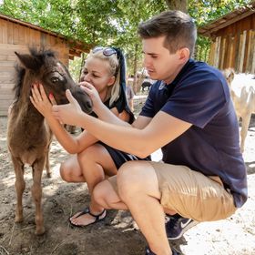 Baráthegyi Panzió és Élménypark Miskolc