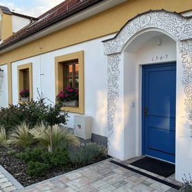 Modrá Hortenzie Archlebov