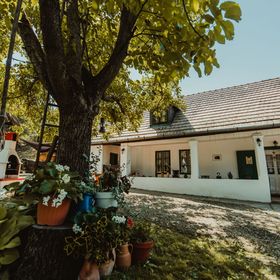 Fülemüle Vendégház Nagybörzsöny