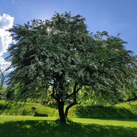 Agroturystyka Sonĝo