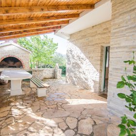 House Pygmy Cormorant Pirovac