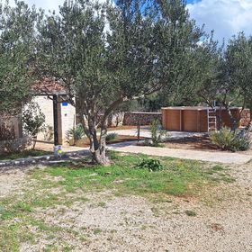 House Pygmy Cormorant Pirovac