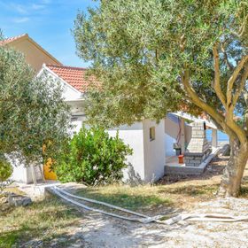 House Pine Shadow Pasman