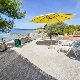 House Pine Shadow Pasman