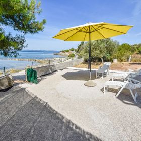 House Pine Shadow Pasman