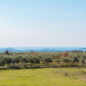 Vendégház Vodnjan - CIC807