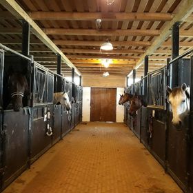 Malomkert Lovarda Szob