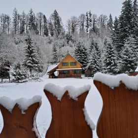 Cabana Zöldfenyő Vărșag