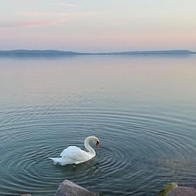 Luna Rossa Boutique Apartman Balatonakali