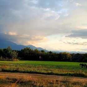 Apartament DAS home Râșnov