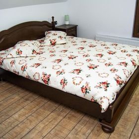 Casă de vacanță Edya Petroșani