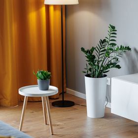 Apartament Mountain View Loft Brașov