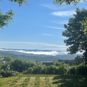Château Novak (Bed & Breakfast Orli Hnizdo) Velká Buková