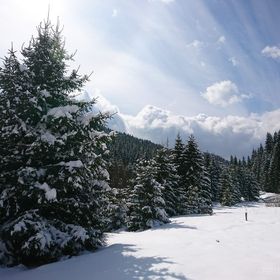 Cabana Szabina Borzont