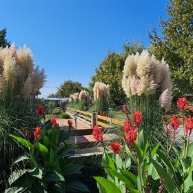 Gólya-Tó Vendégház Vajdácska