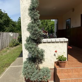 Deme Vendégház Abádszalók