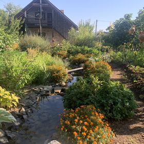 Tündérrózsa Vendégház Tahitótfalu