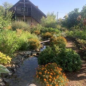 Tündérrózsa Vendégház Tahitótfalu