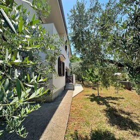 Apartmanok Parkolóhellyel Silo, Krk - 18692 Šilo