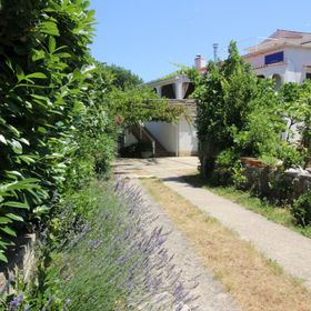 Apartmanok Parkolóhellyel Silo, Krk - 18769 Šilo