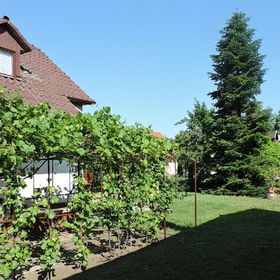 Fácán Vendégház Kiskunmajsa