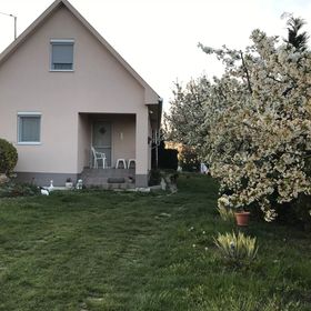 ZSUTI Apartman Tarpa