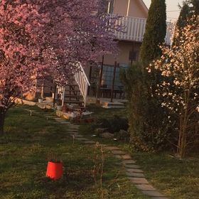 ZSUTI Apartman Tarpa