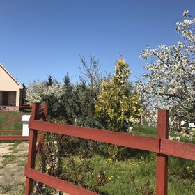 ZSUTI Apartman Tarpa