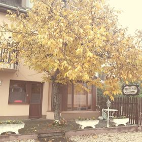 Borostyán Panzió Kiskunfélegyháza