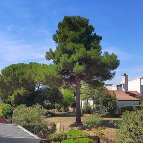 Apartman Golden Sun Novigrad