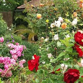 Oliva Verde Apartman Bárdudvarnok