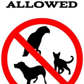 Apartamenty Świnoujście - Matejki 18