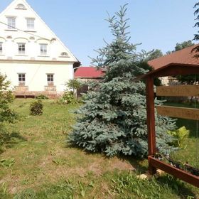 Penzion Zemanův Dvůr Božanov