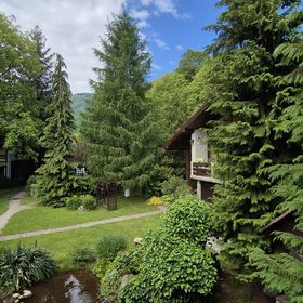 Căsuța Floare de Colț Clopotiva