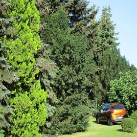 Tiszavirág Apartman Tiszafüred