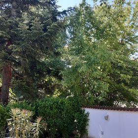 Villa Viola Balatonföldvár