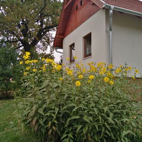 Lívia Vendégház Őriszentpéter