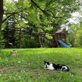 Fagyöngy Pajtaház Őriszentpéter