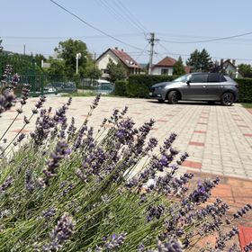 Bazsarózsa Vendégház Csopak