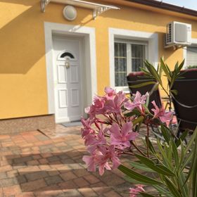 Bazsarózsa Vendégház Csopak