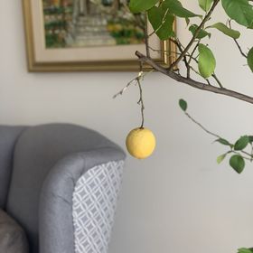 Levendula Vendégház Kozárd