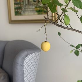 Levendula Vendégház Kozárd