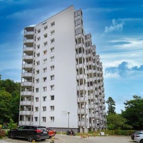  Studio Wolność 1 - ACCO RENT